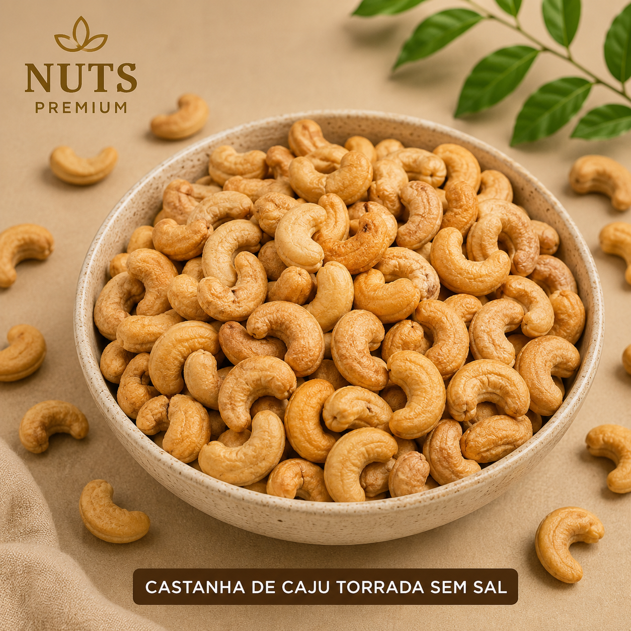 Castanha de Caju Torrado Sem Sal