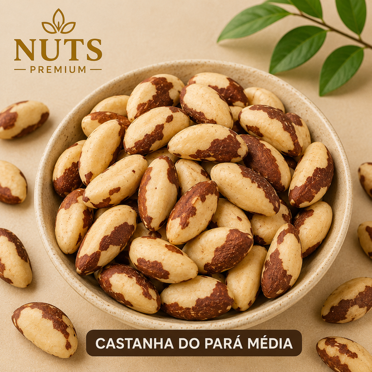 Castanha do Pará Média