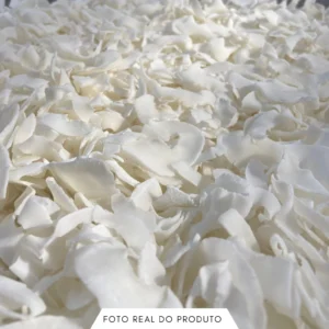 Coco Chips Natural