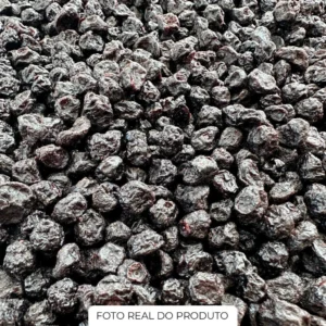Blueberry Desidratada Premium